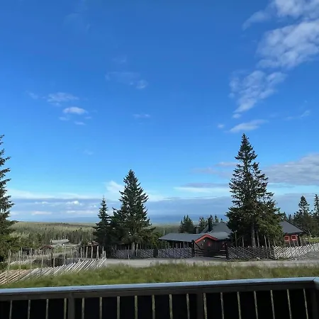 Fjellro Budor - In Out * Loten