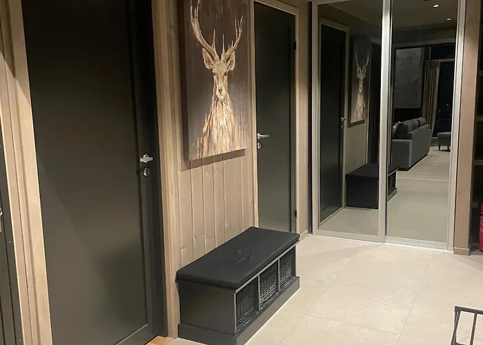 Fjellro Budor - In Out * Loten