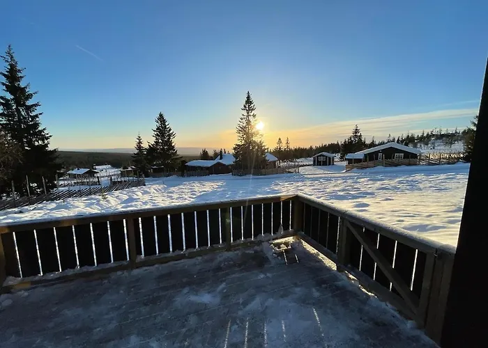 Fjellro Budor - In Out