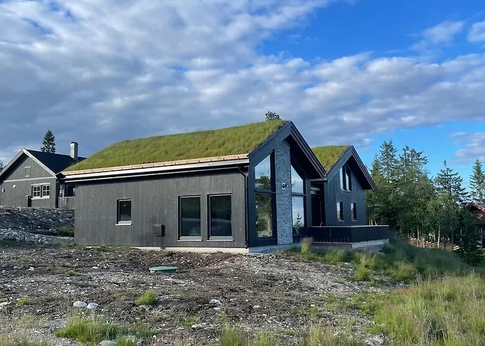 Fjellro Budor - In Out Loten