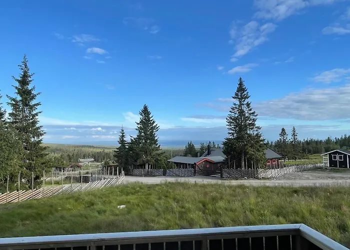 Fjellro Budor - In Out