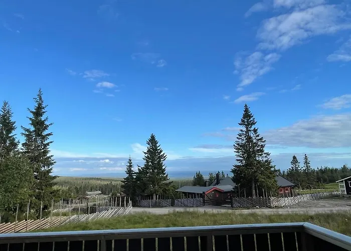 Fjellro Budor - In Out * Loten