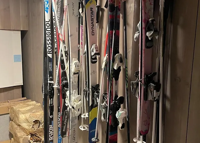 Fjellro Budor - In Out Шале Loten